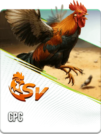 Trang Chủ 99WIN 16 exclusive sport cpc