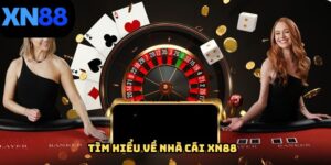 Tìm hiểu một số đặc điểm cơ bản về XN88